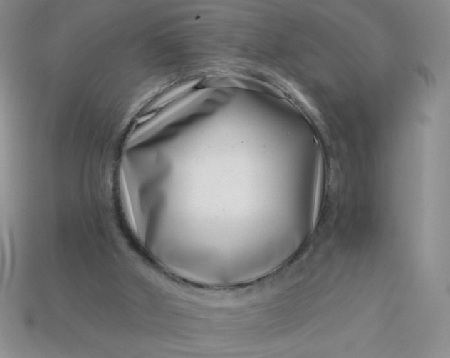 X0000113000010200909101806