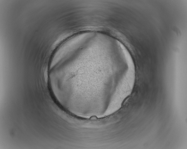 X0000113000011200909101806