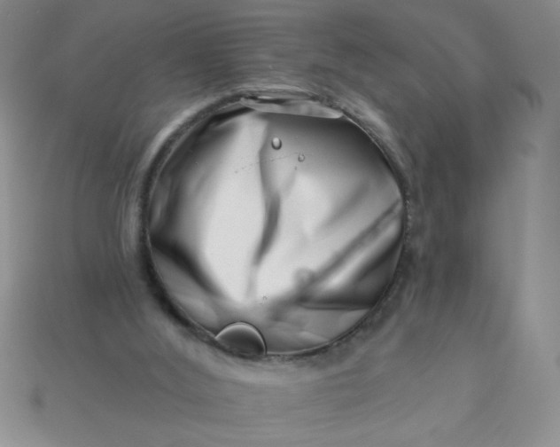 X0000113000012200909101806