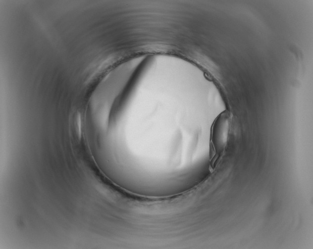 X0000113000013200909101806