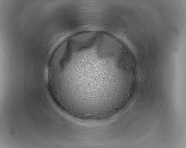 X0000113000014200909101806