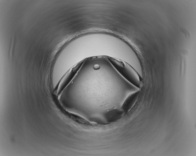 X0000113000015200909101806