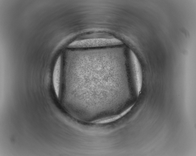 X0000113000016200909101806