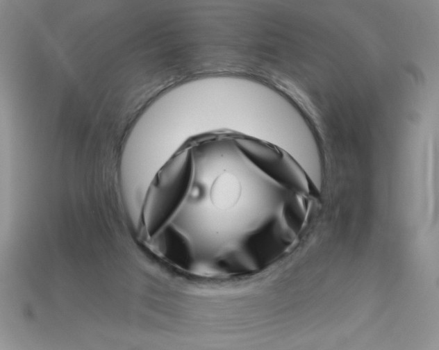 X0000113000017200909101806