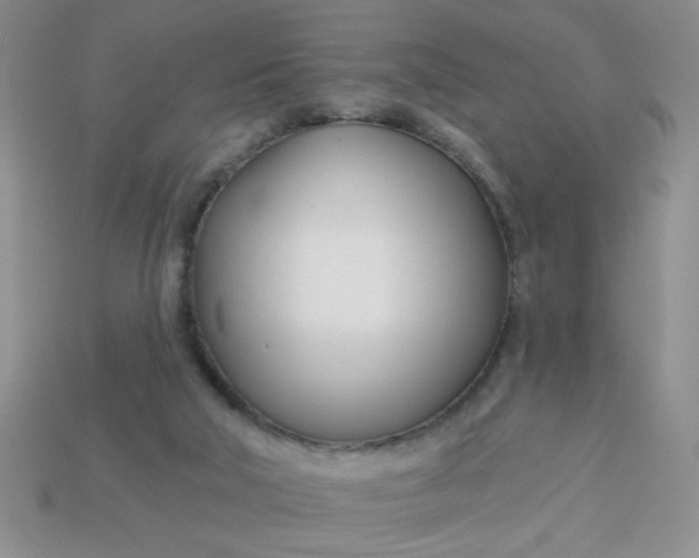 X0000113000018200909101806