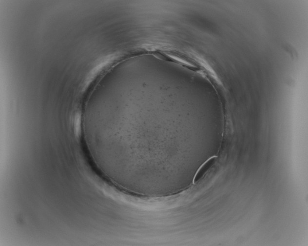 X0000113000019200909101806