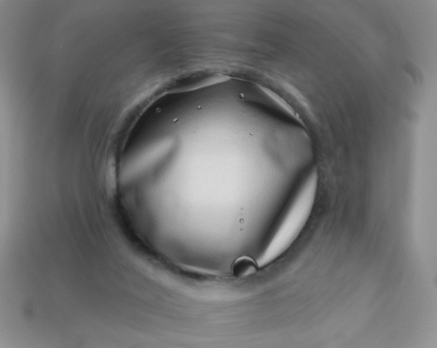 X0000113000020200909101806