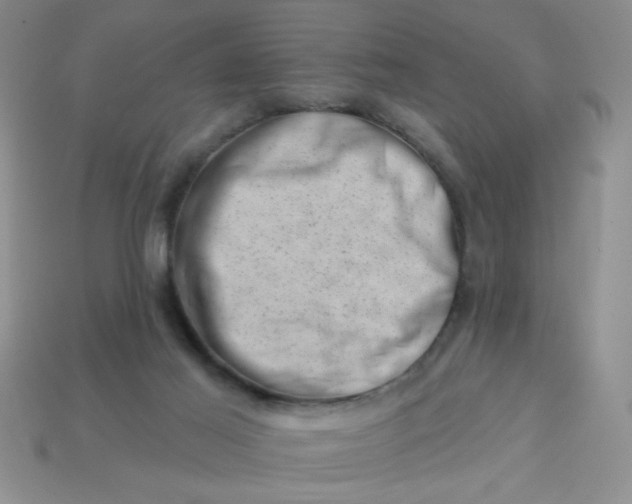 X0000113000021200909101806