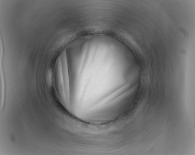 X0000113000022200909101806