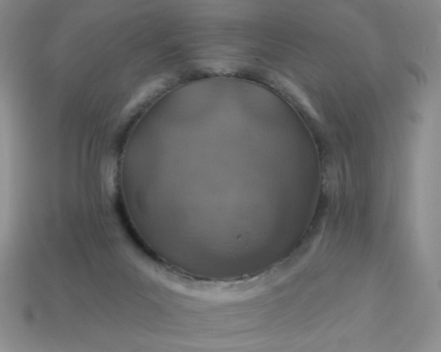 X0000113000023200909101806