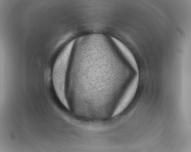 X0000113000024200909101806