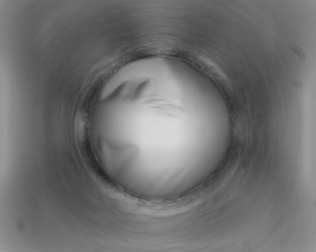 X0000113000026200909101806