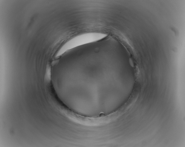 X0000113000027200909101806