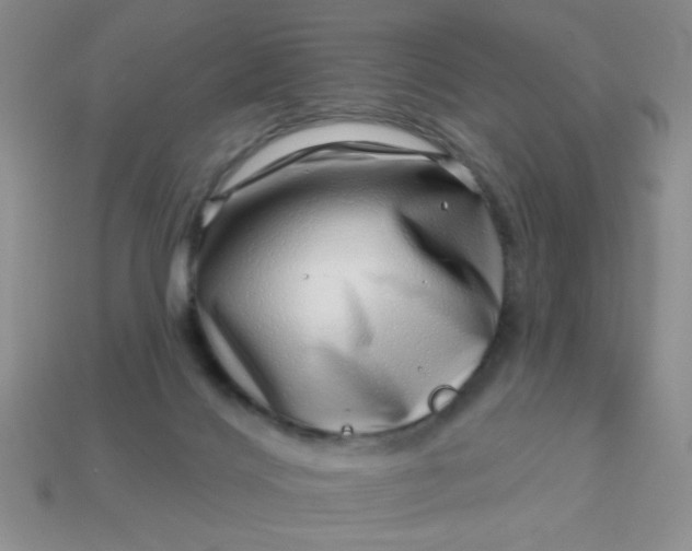 X0000113000028200909101806