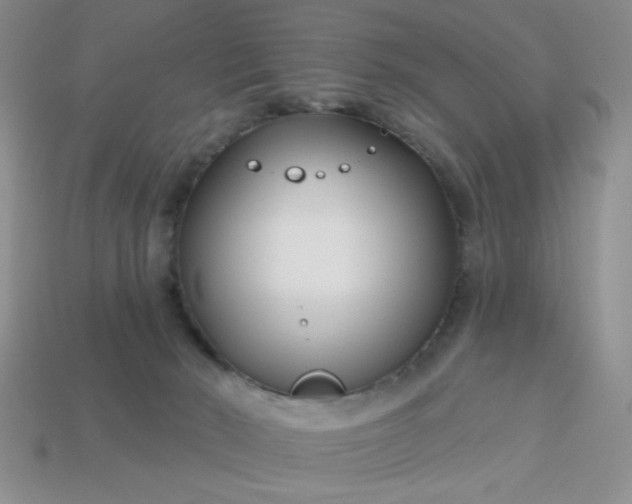 X0000113000030200909101806