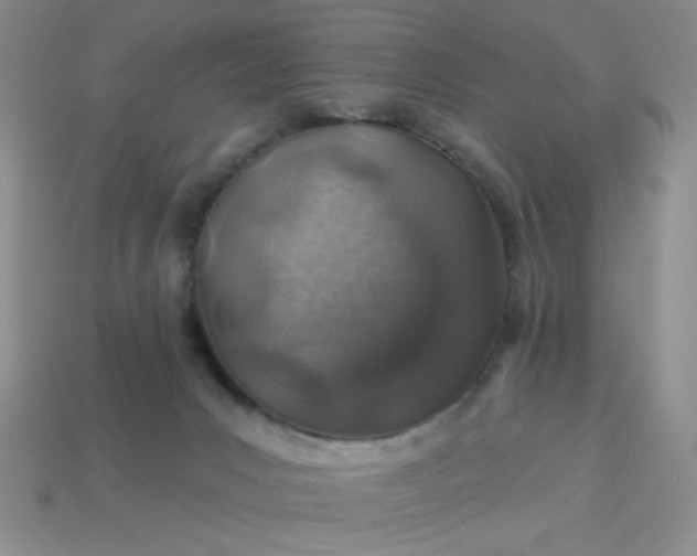 X0000113000031200909101806