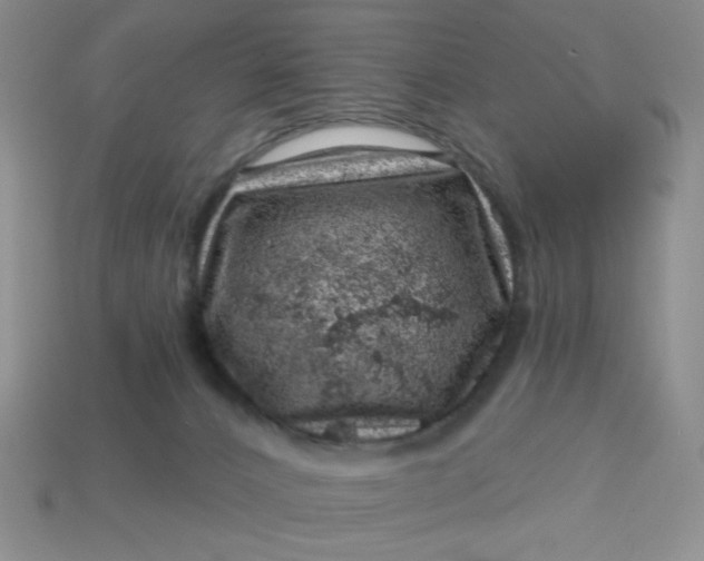 X0000113000032200909101806