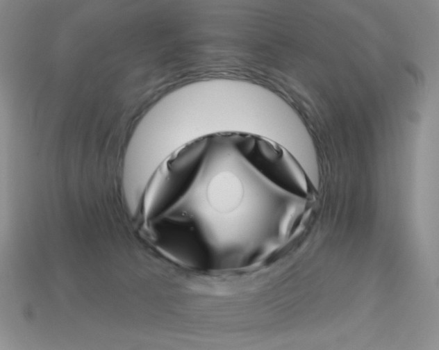 X0000113000033200909101806