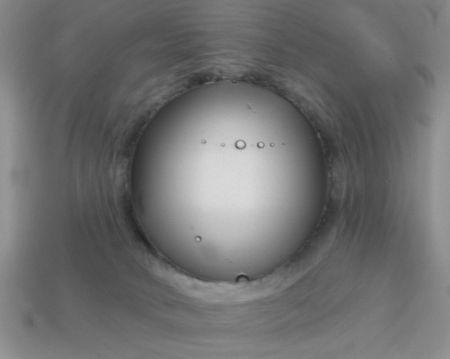 X0000113000034200909101806