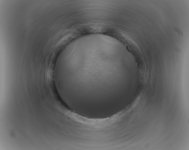 X0000113000035200909101806