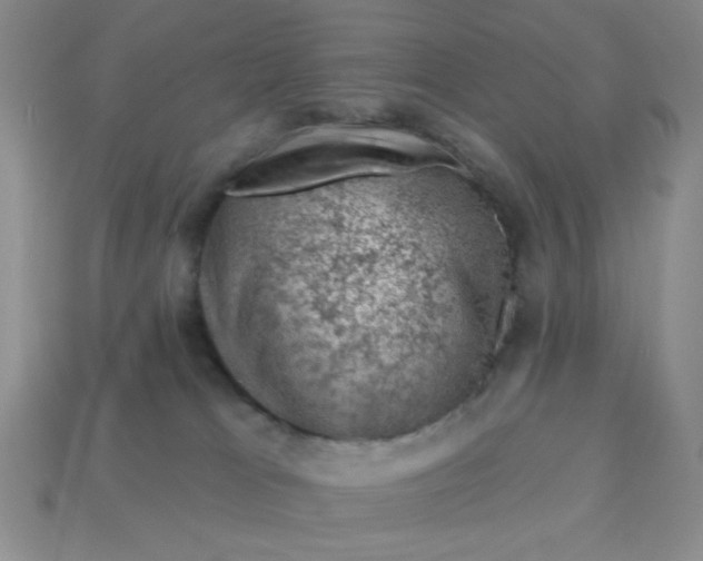 X0000113000037200909101806