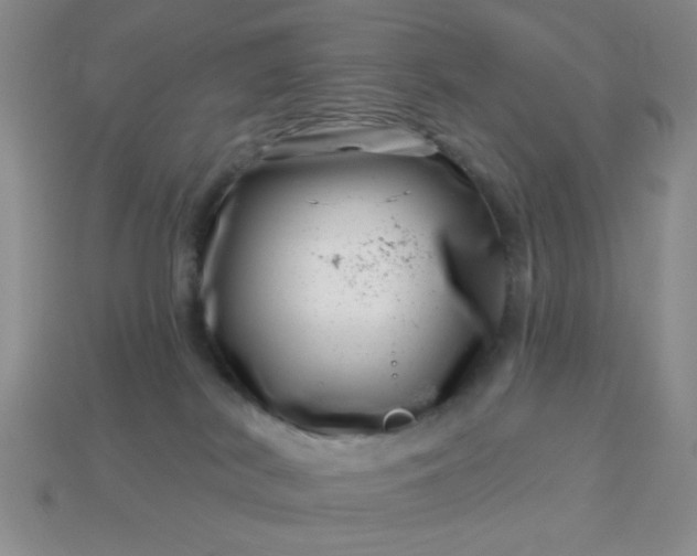 X0000113000038200909101806