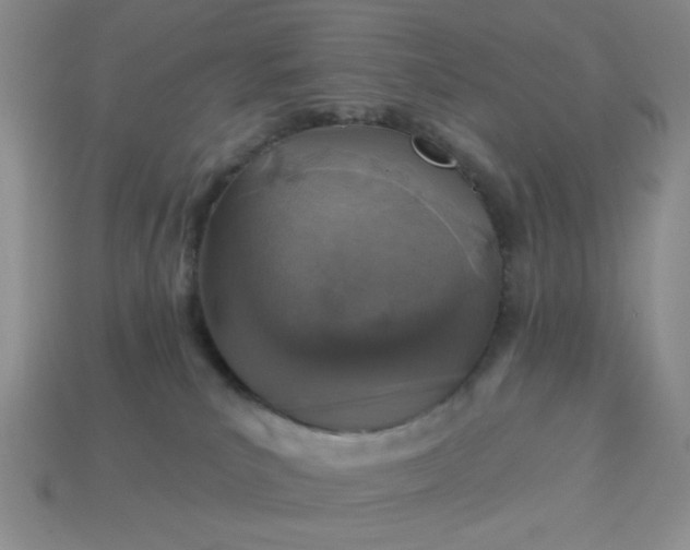 X0000113000039200909101806