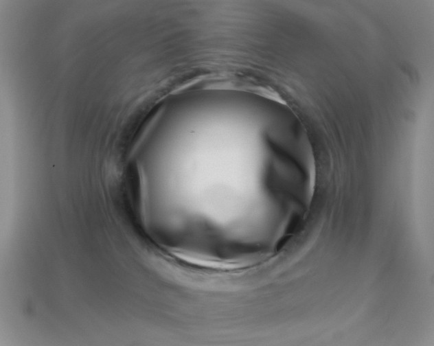 X0000113000040200909101806