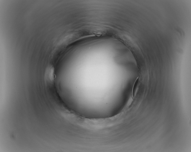 X0000113000041200909101806