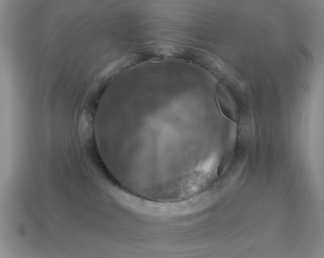 X0000113000043200909101806