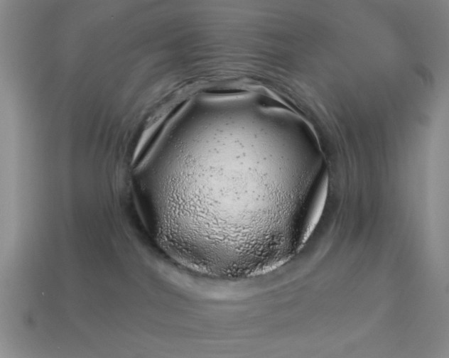 X0000113000044200909101806