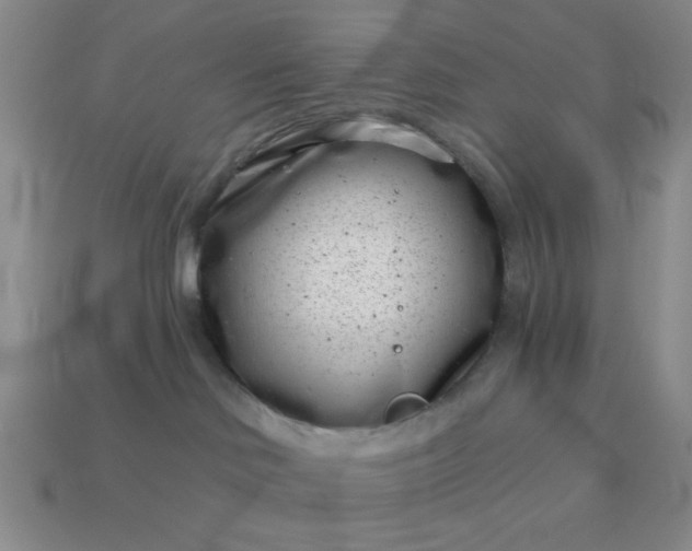 X0000113000046200909101806