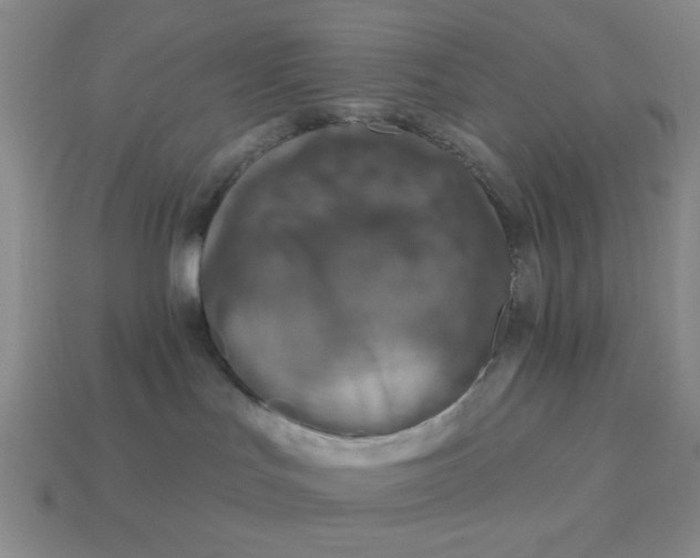 X0000113000047200909101806