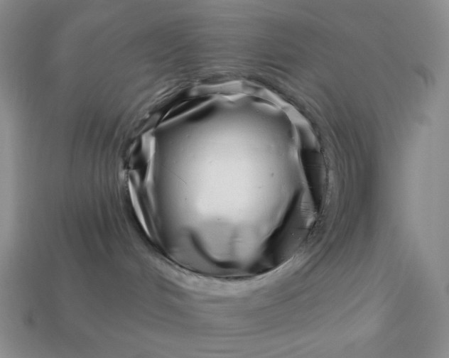 X0000113000048200909101806