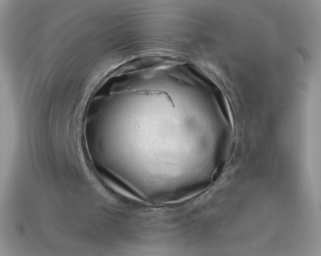 X0000113000049200909101805