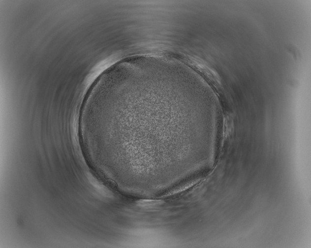 X0000113000051200909101805