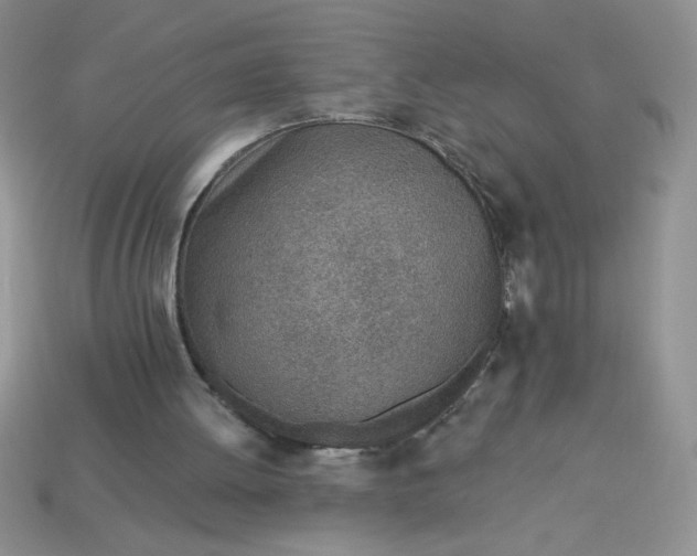 X0000113000052200909101805