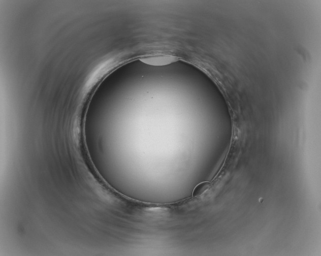 X0000113000053200909101805