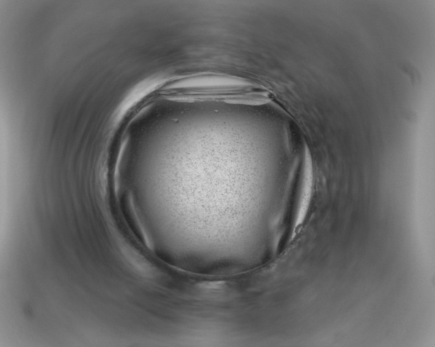 X0000113000054200909101805