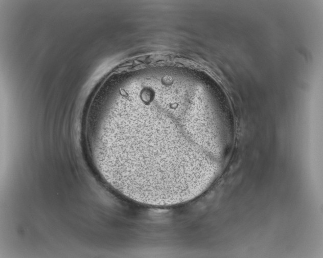 X0000113000055200909101805