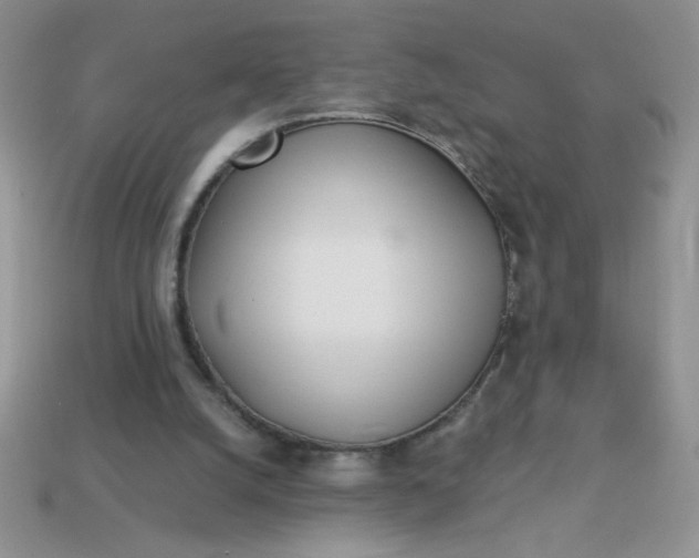 X0000113000056200909101805