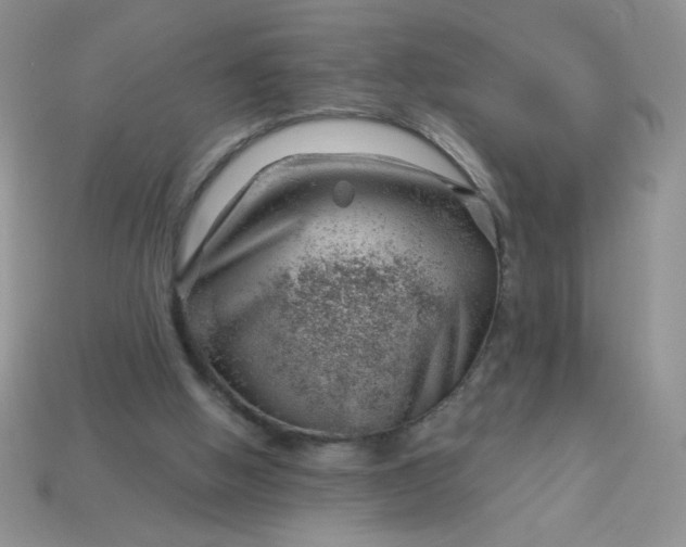 X0000113000058200909101805