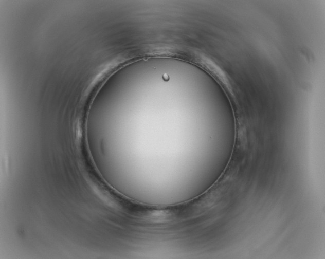 X0000113000059200909101805