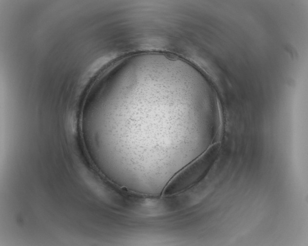 X0000113000060200909101805