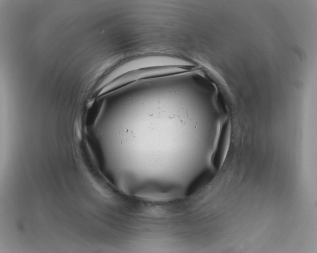 X0000113000062200909101805