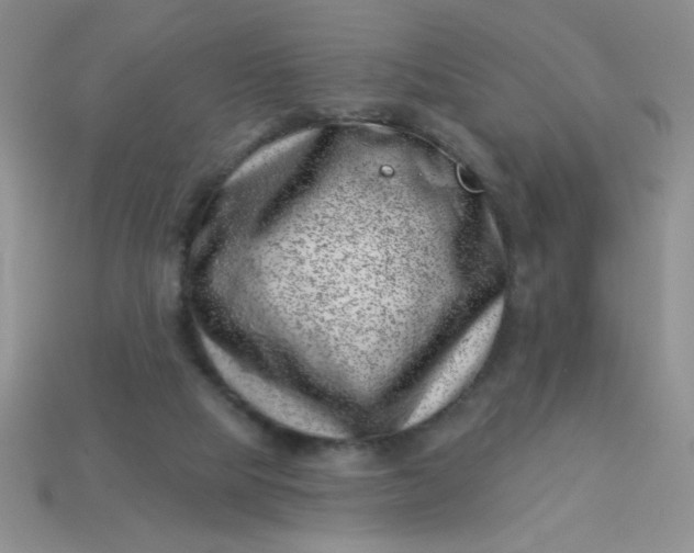 X0000113000065200909101805