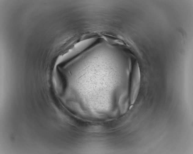 X0000113000066200909101805