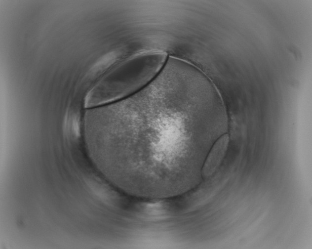 X0000113000068200909101805