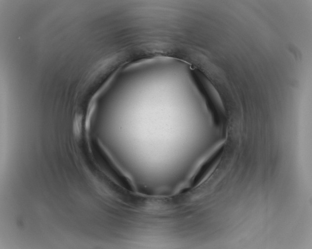 X0000113000070200909101805