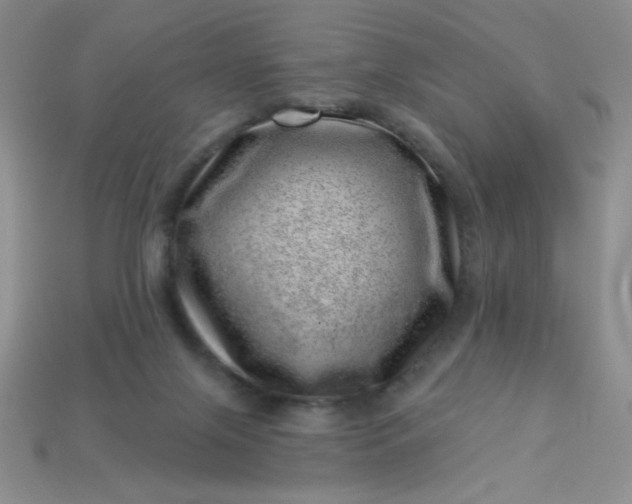 X0000113000071200909101805